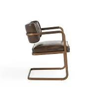Mando Brown Upholstered Arm Chair