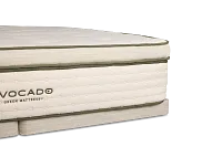 Avocado Green Plush Low-profile Mattress Set