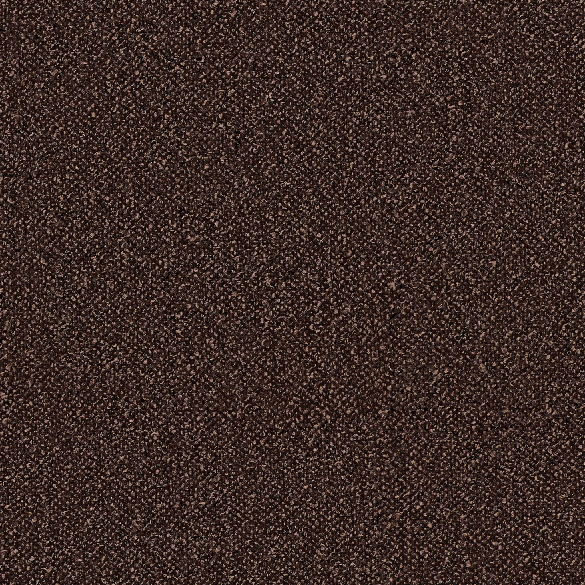 Captiva Elite Dark Brown 48" Upholstered Shelter Bed