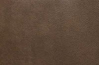 Jayden Brown Micro Large Dual Power Reclining Two-arm Sectional