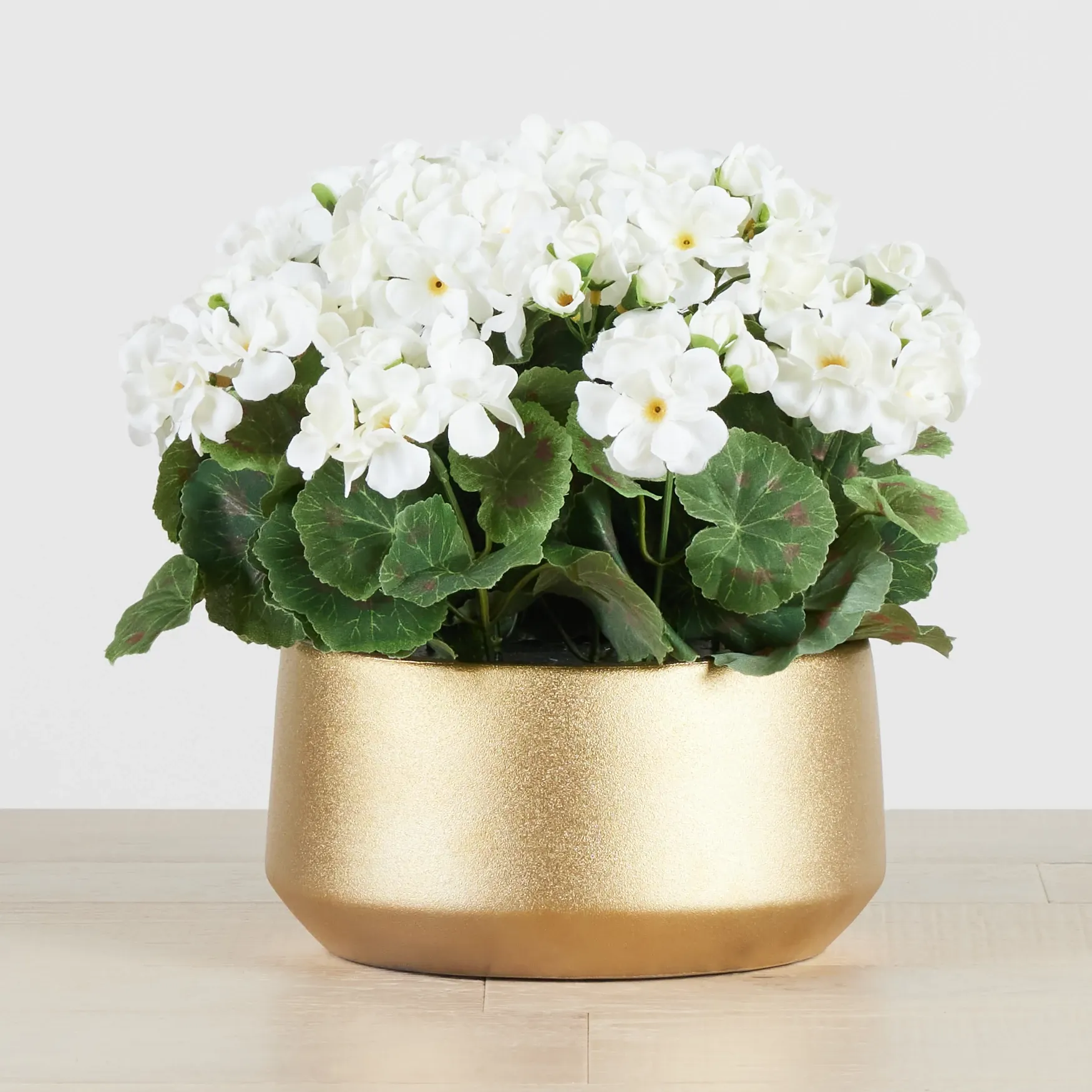 Begonia White 11" Floral Arrangement