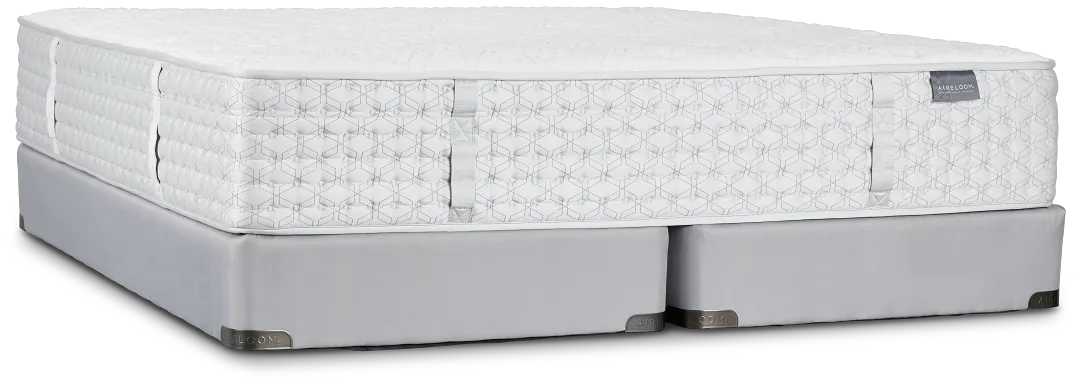 Aireloom Timeless Odyssey Streamline Firm Mattress Set