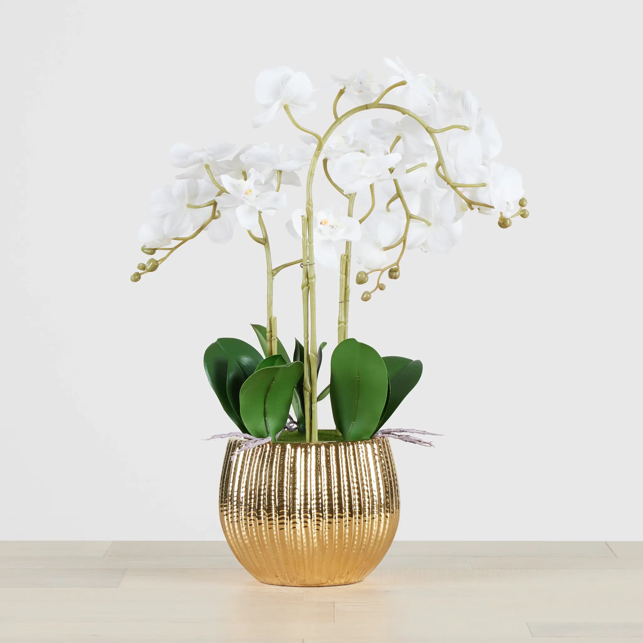 Potted Gold 24" Orchid Potted Gold 24" Orchid