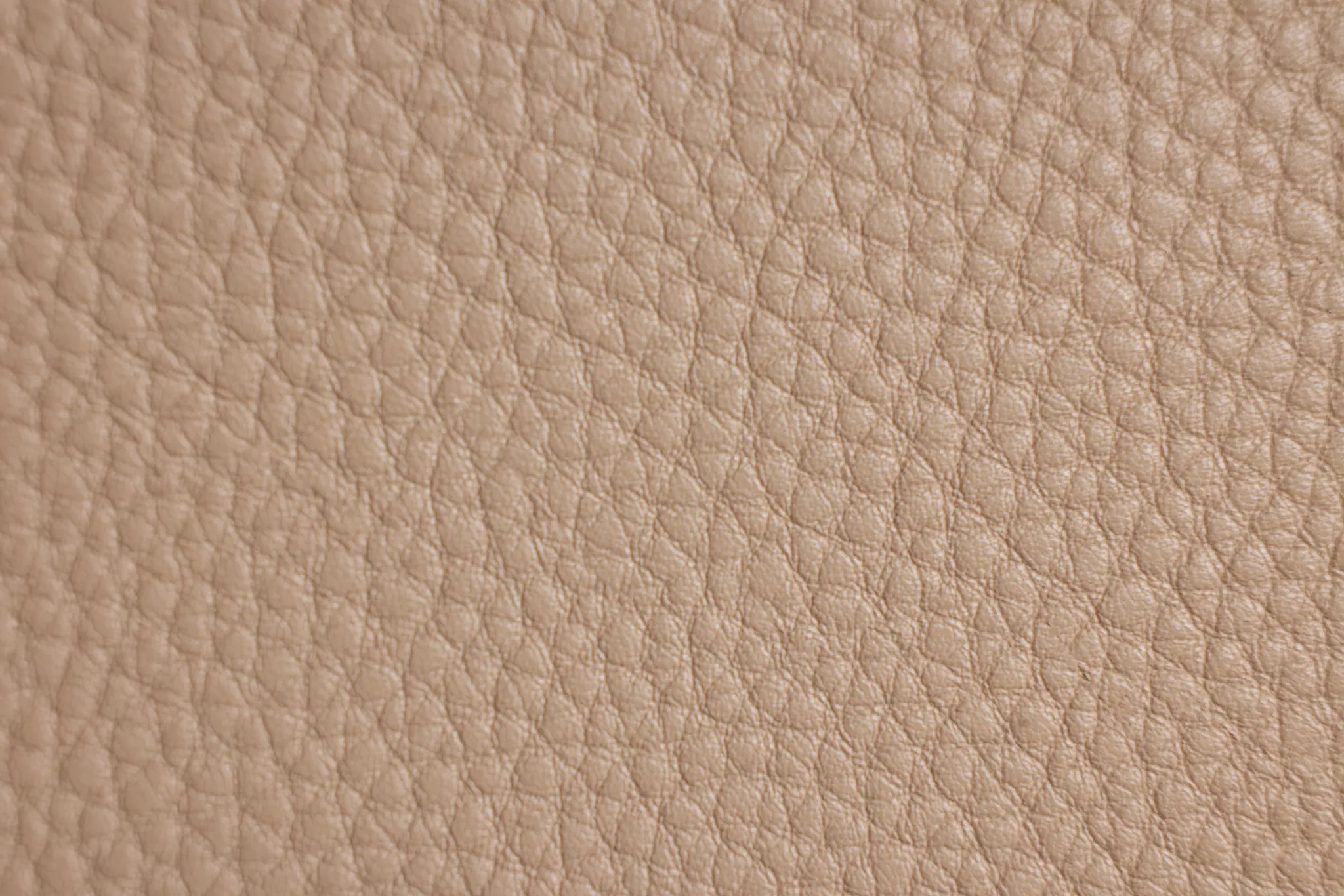 Hamilton Beige Micro Upholstered Side Chair