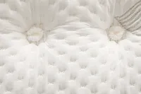 Aireloom Timeless Odyssey Luxetop M2 15.5" Plush Mattress