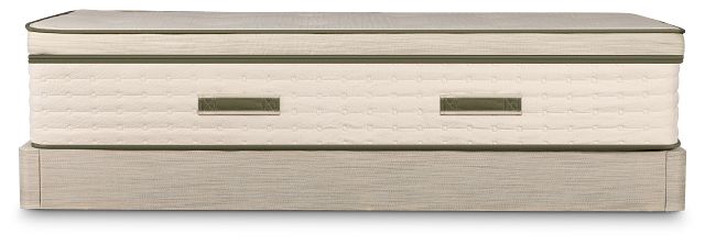 Avocado Green Plush Mattress Set