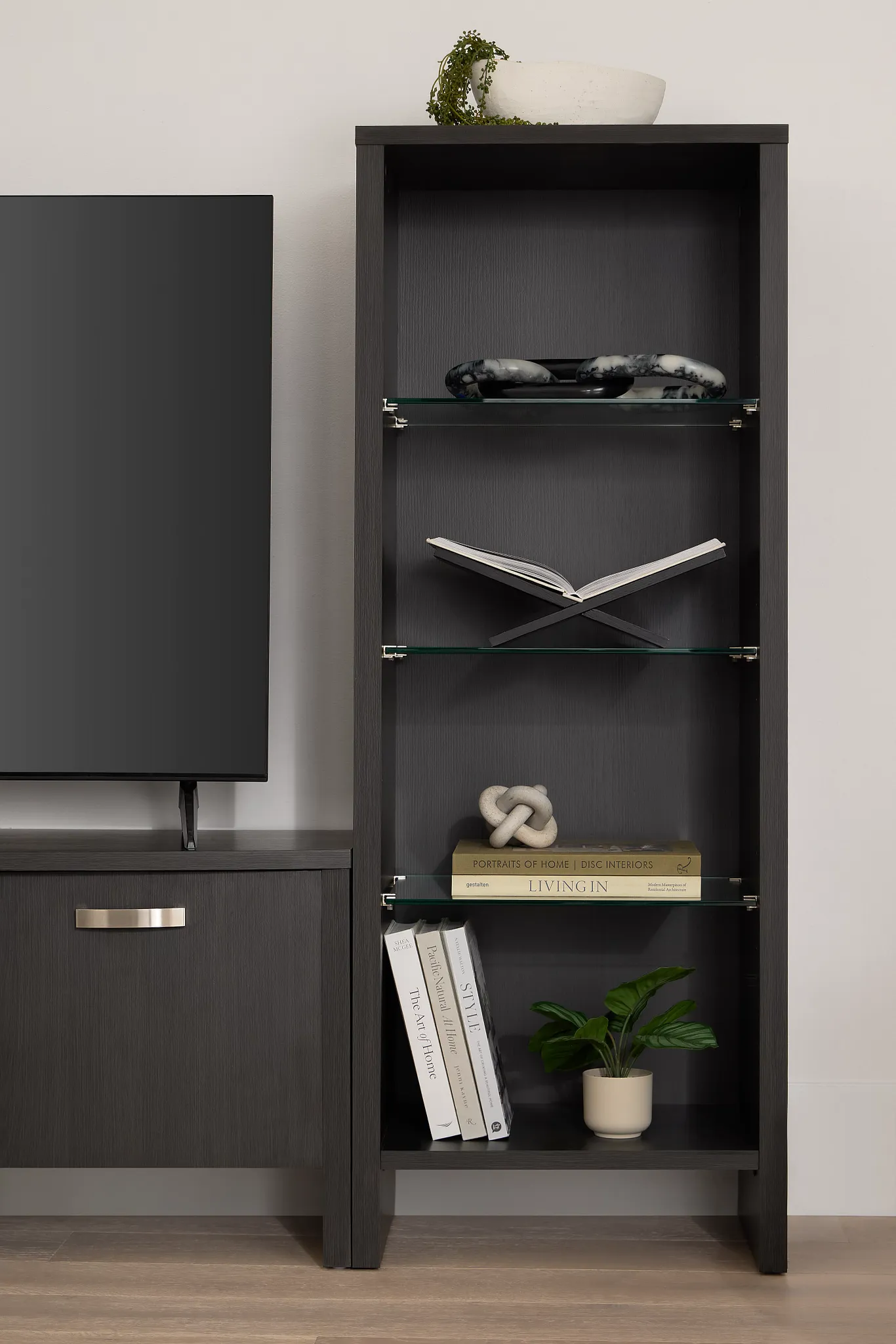 Warren Gray Entertainment Wall