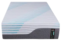 Rest & Renew Performance 12.5" Firm Memory Foam Mattress