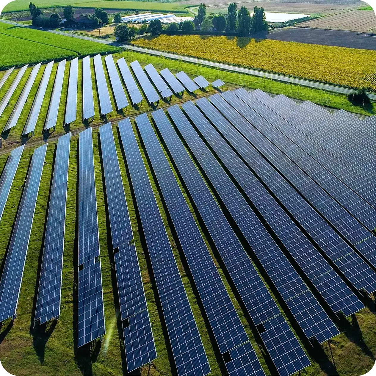 2040 Green Promise