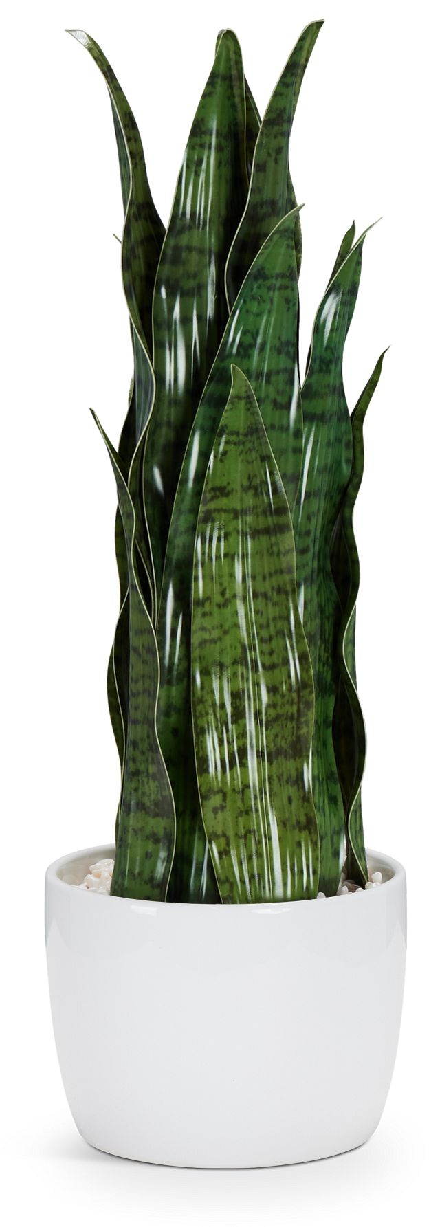 Snake Plant 24" Greenery