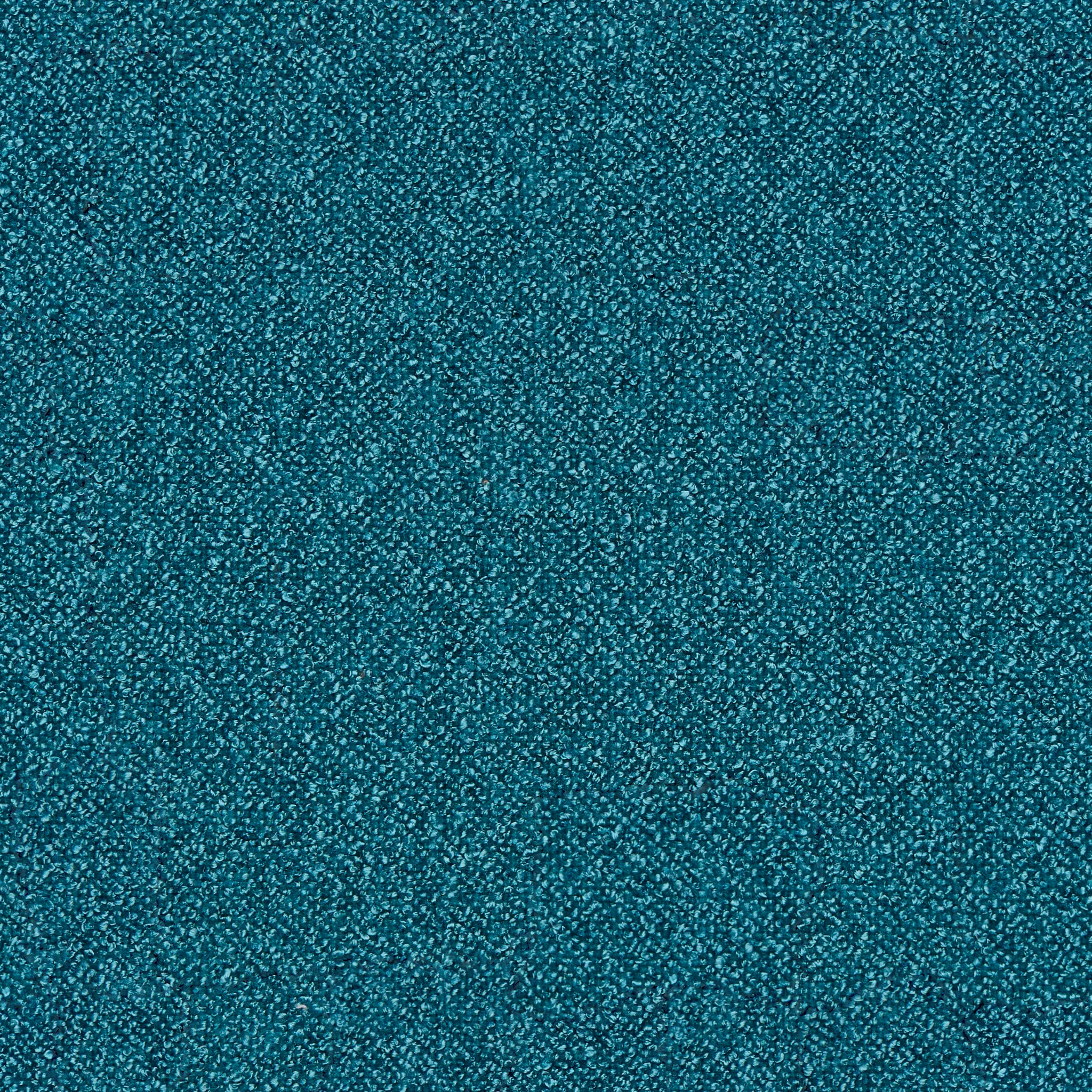 Captiva Elite Teal 60" Upholstered Shelter Bed