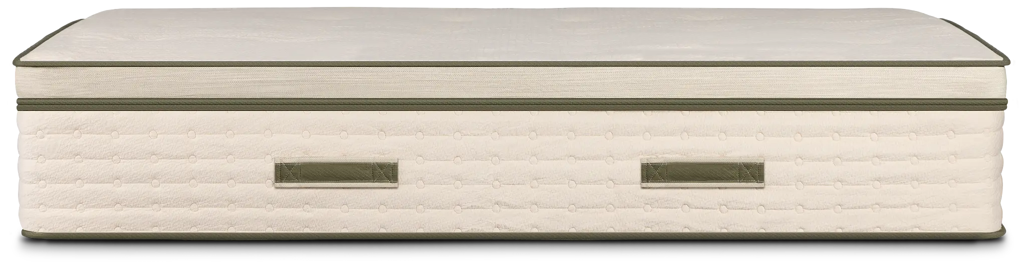 Avocado Green 15.50" Plush Box Top Mattress Avocado Green 15.50" Plush Box Top Mattress