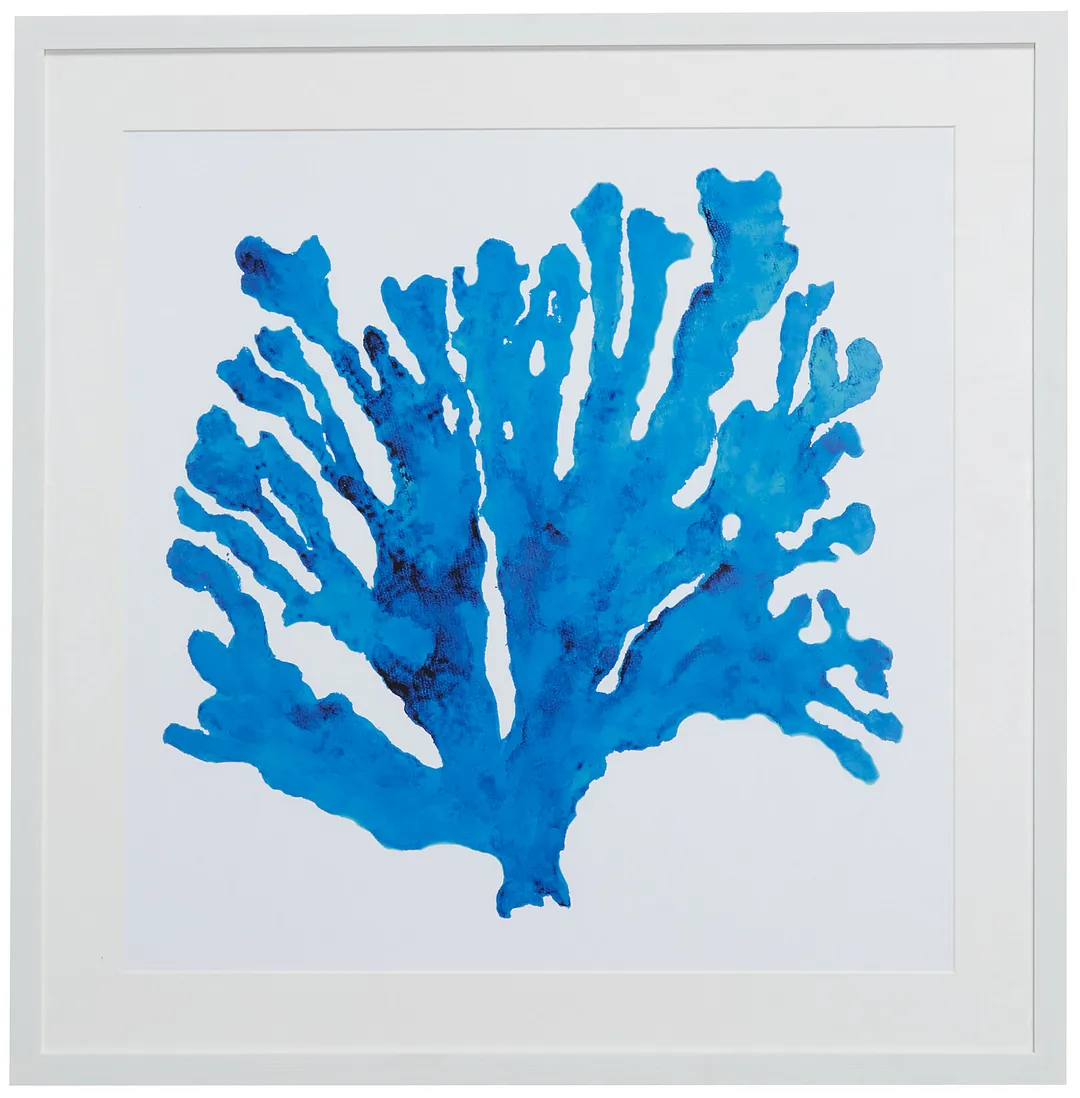 Coralrock Blue Framed Wall Art