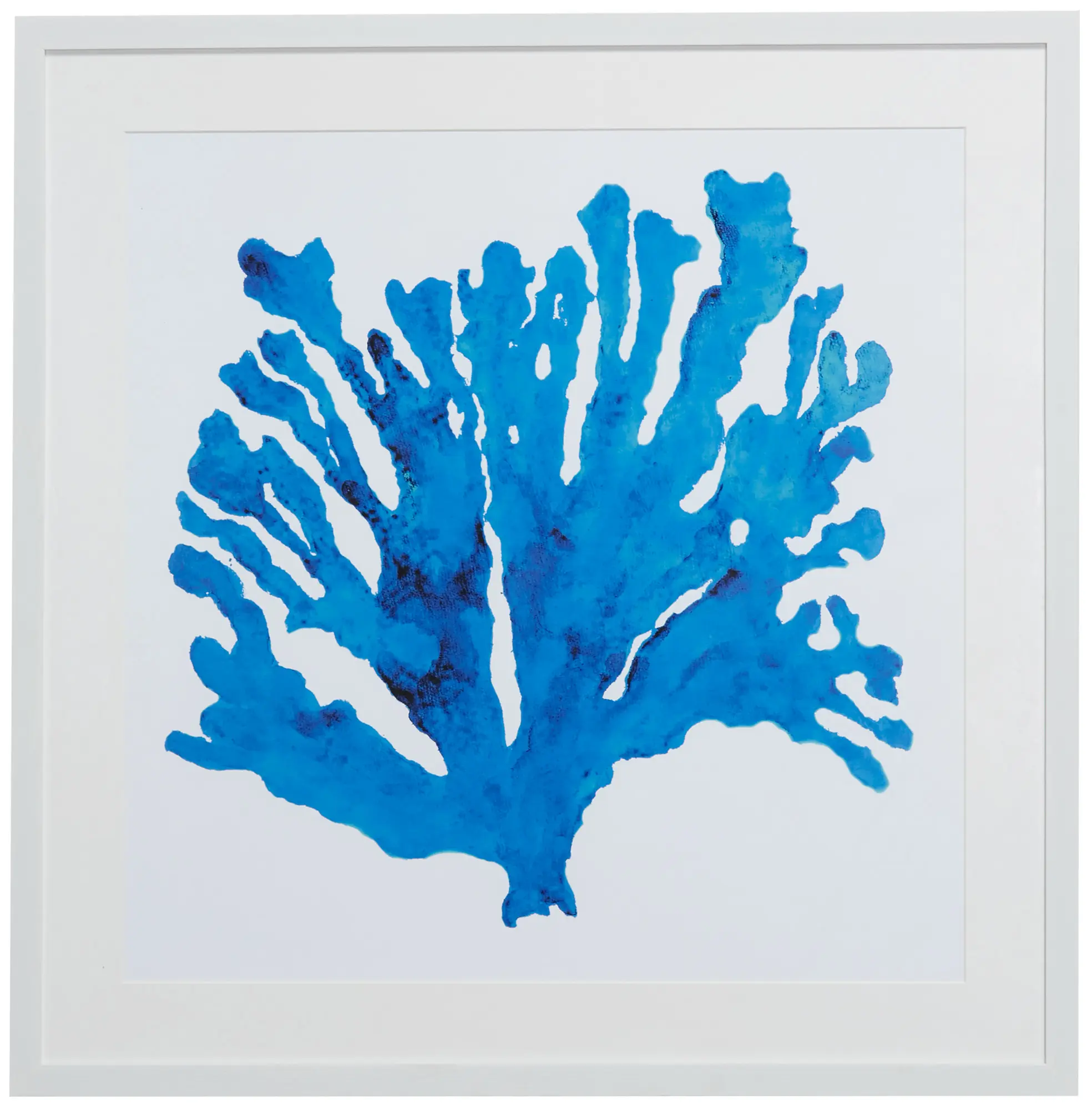 Coralrock Blue Framed Wall Art Coralrock Blue Framed Wall Art