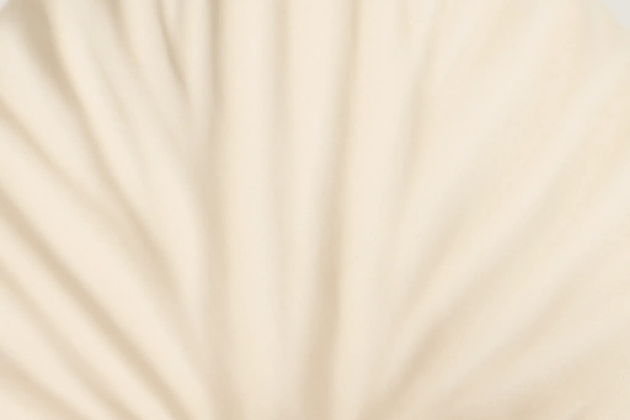 Zyla Ivory Large Vase