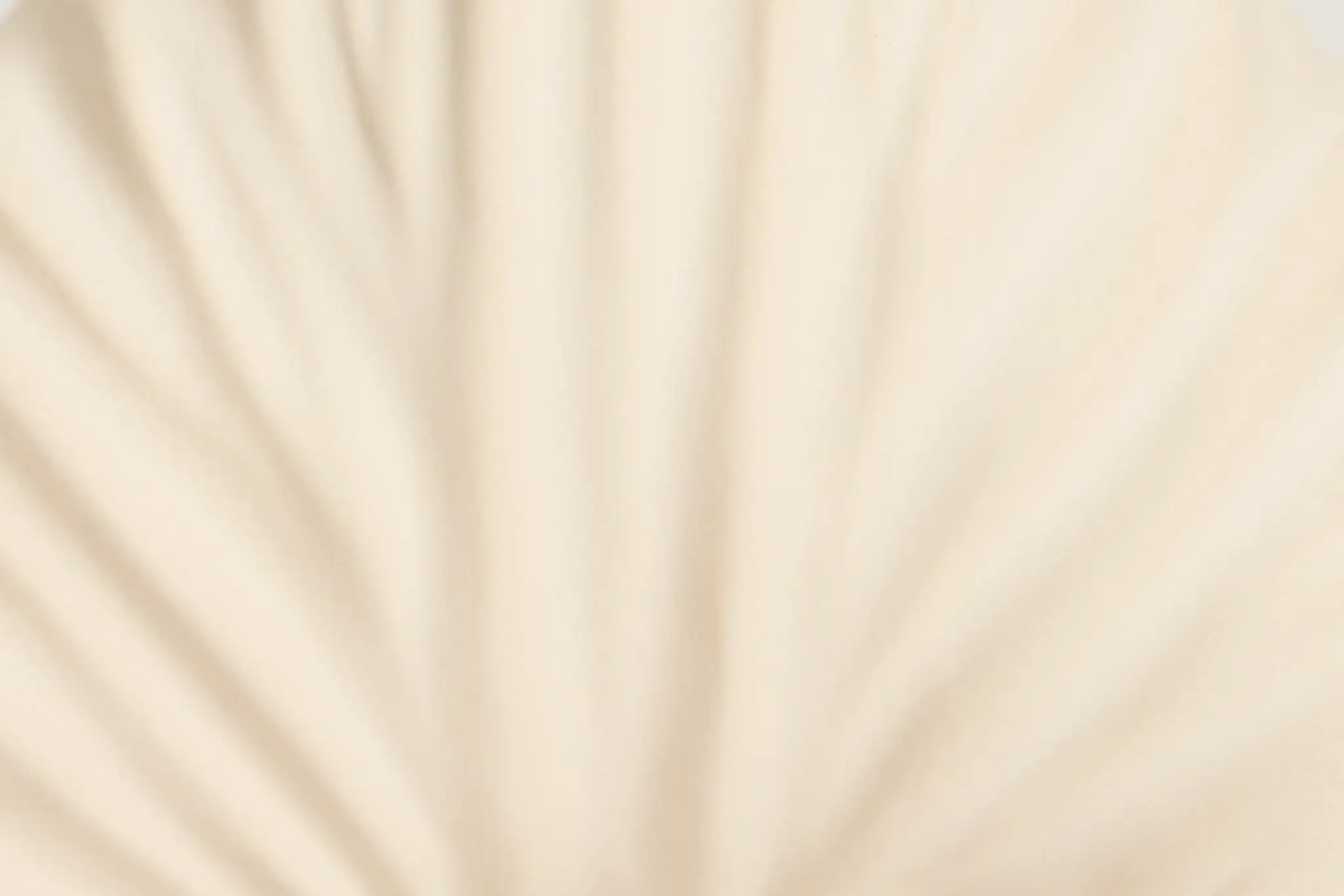 Zyla Ivory Large Vase Zyla Ivory Large Vase