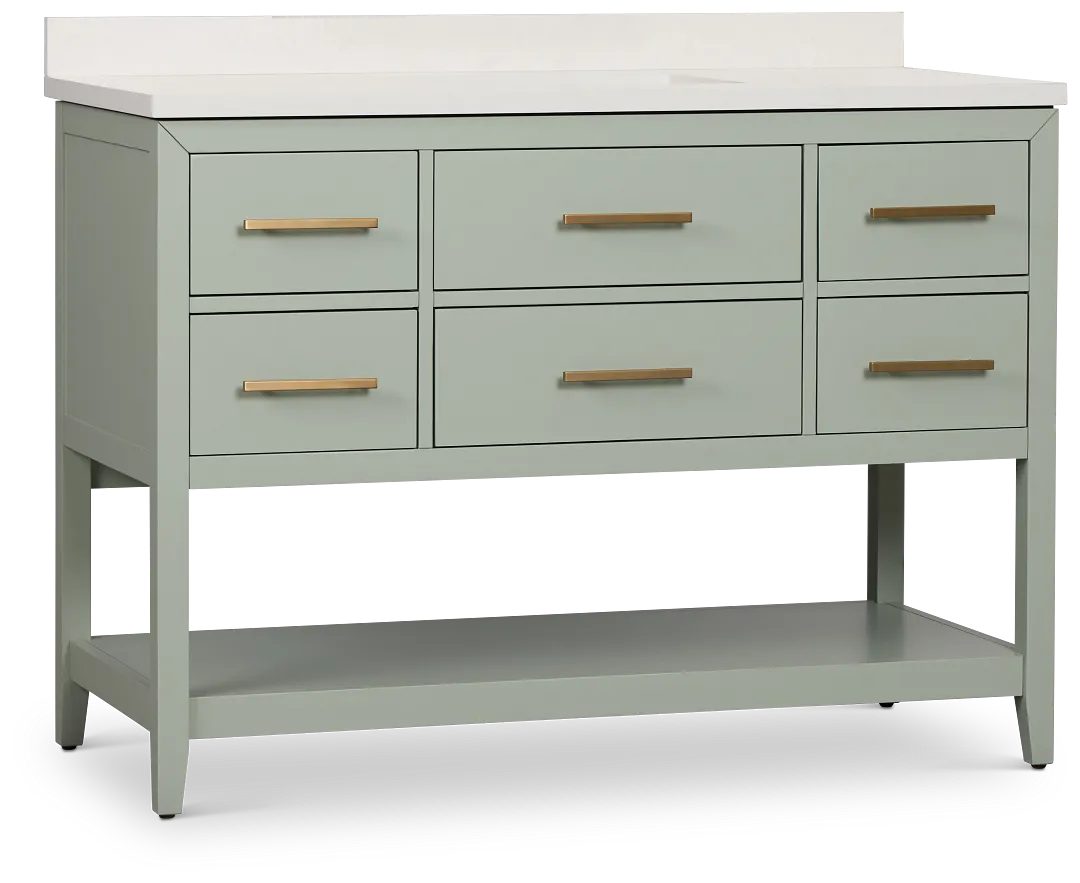 Alden Green 48" Single Bathroom Vanity