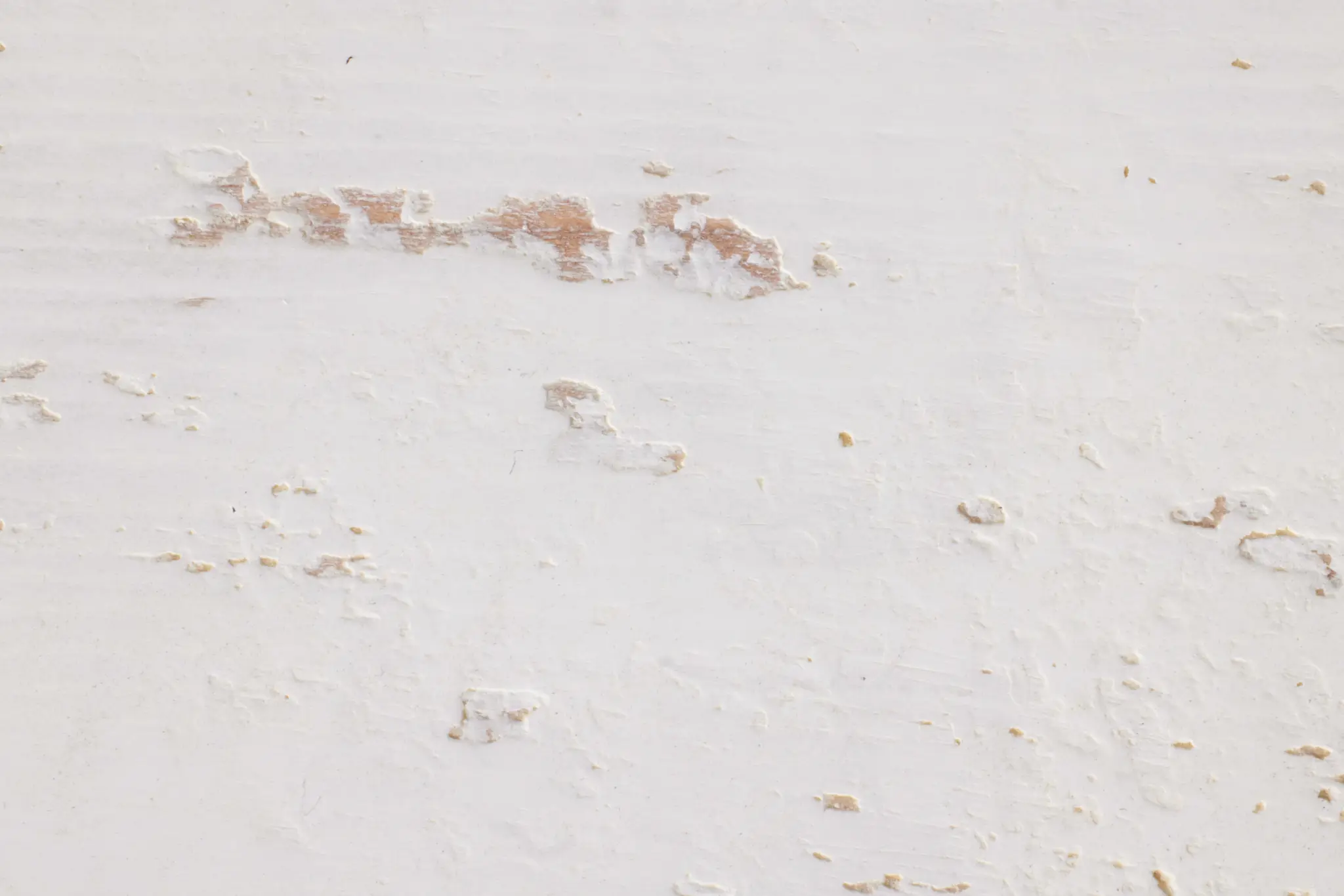 White White