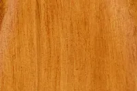 Angel Mid Tone Wood Sculpture
