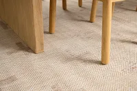 Carlee Brown 8x10 Area Rug