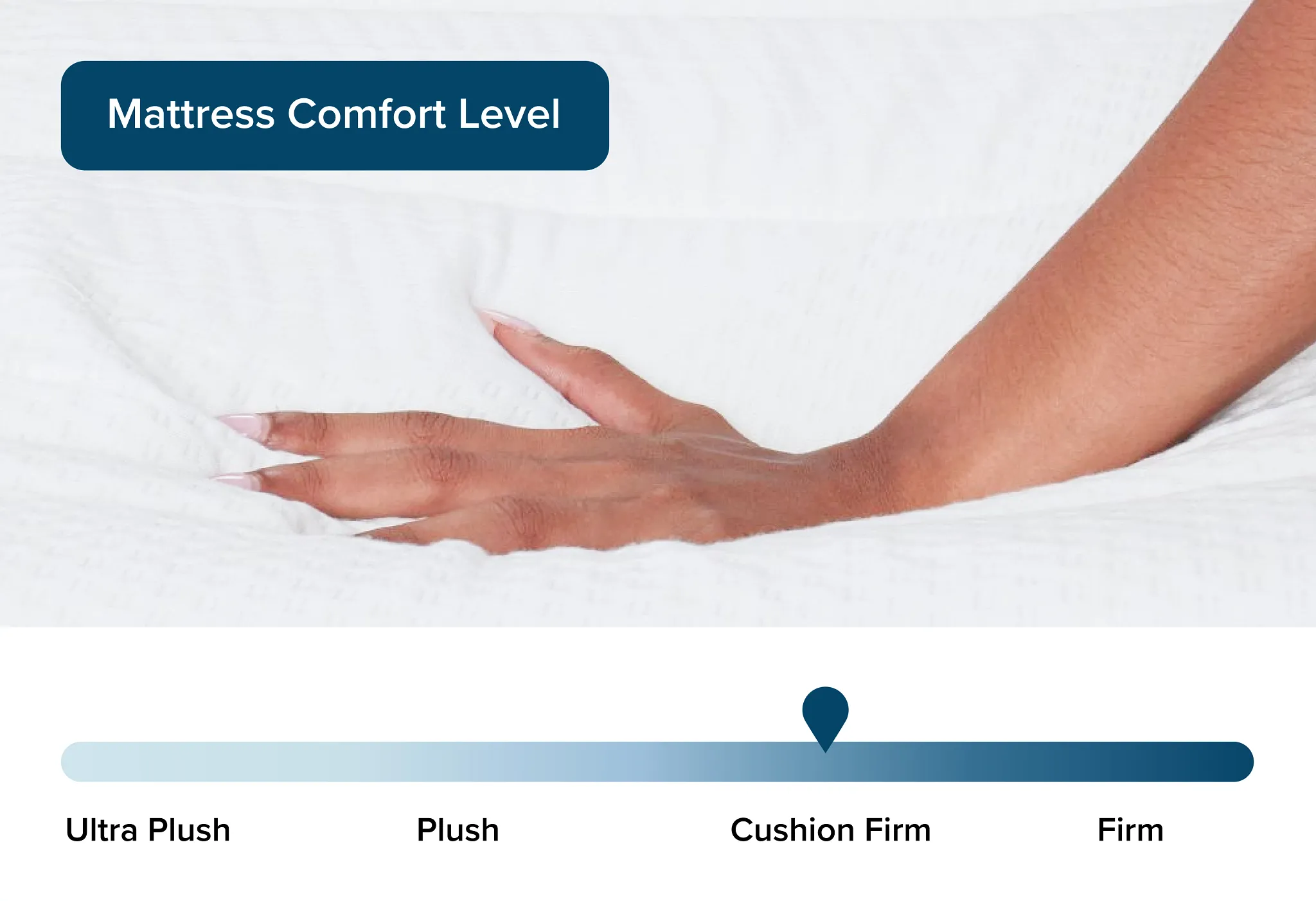 Rest & Renew By Zinus 8" Hybrid Memory Foam & Innerspring Mattress