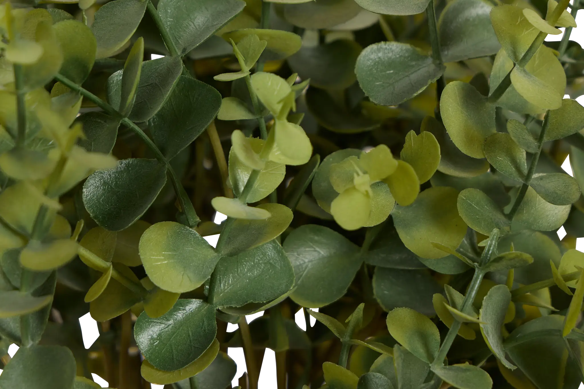Eucalyptus Small Greenery Eucalyptus Small Greenery