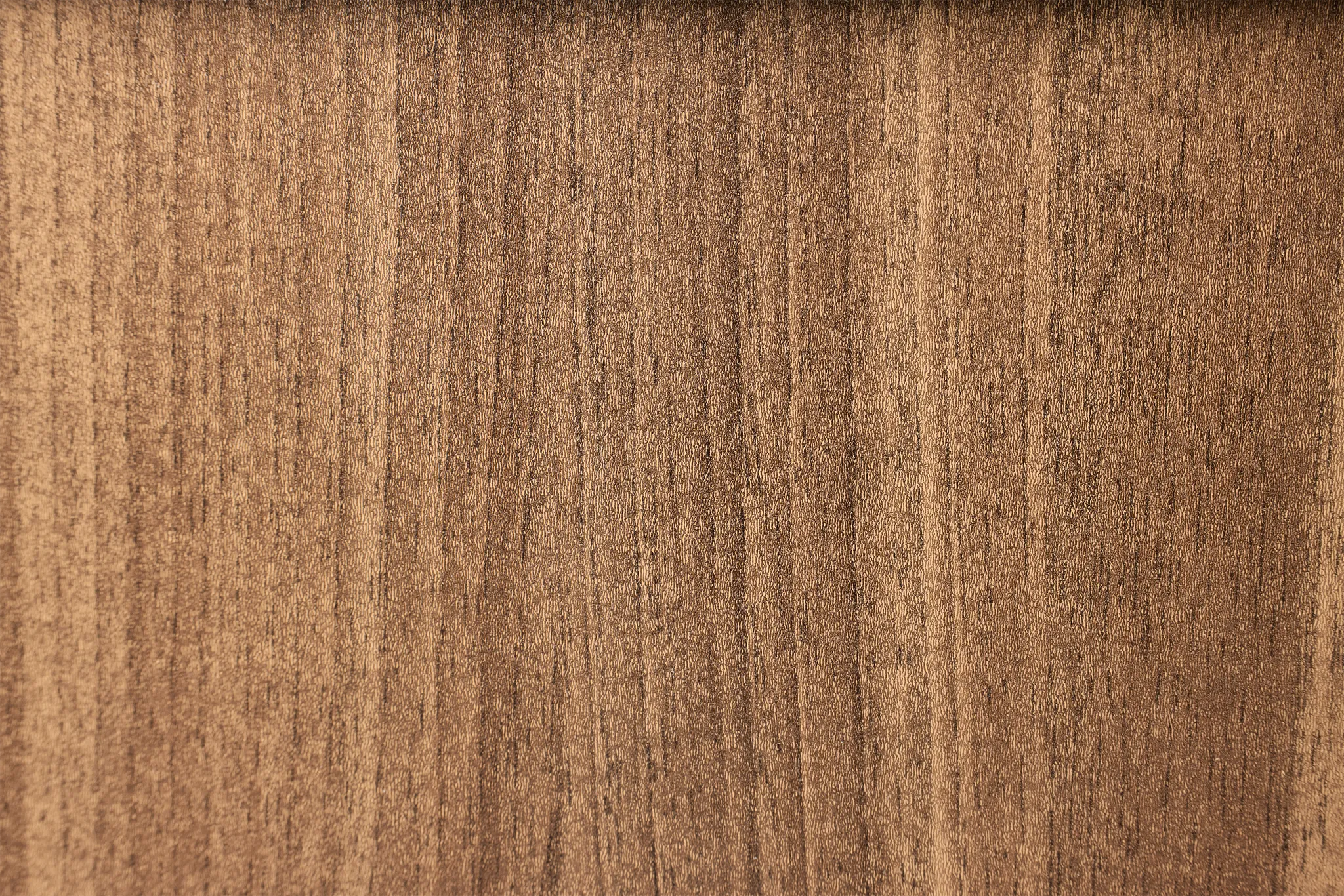 Trento Mid Tone Glass Small Door Bookcase Wall