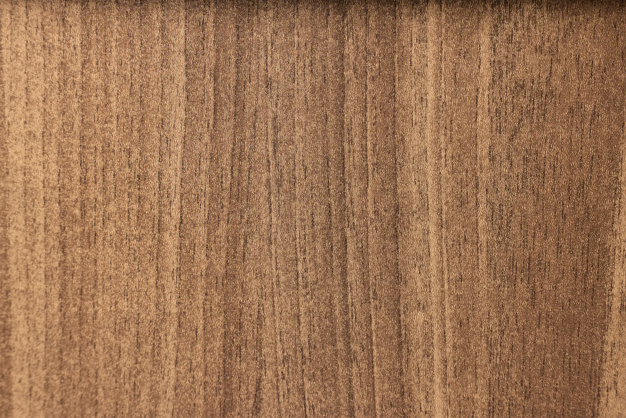 Trento Mid Tone Glass Small Door Bookcase Wall Trento Mid Tone Glass Small Door Bookcase Wall