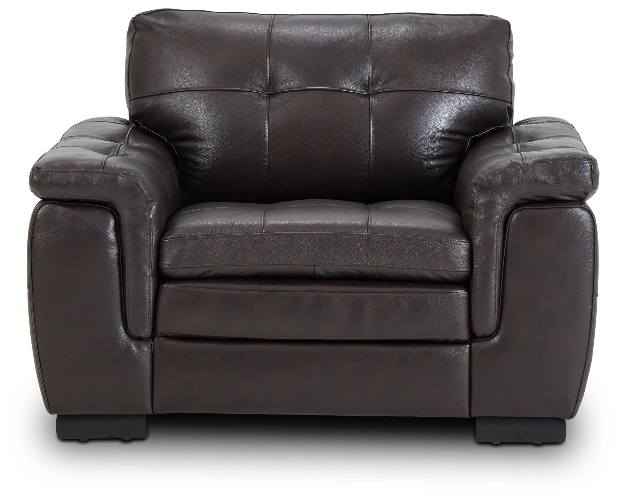Braden Dark Brown Leather Chair