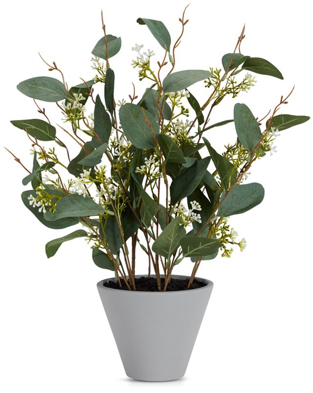 Eucalptus Medium Greenery (1)