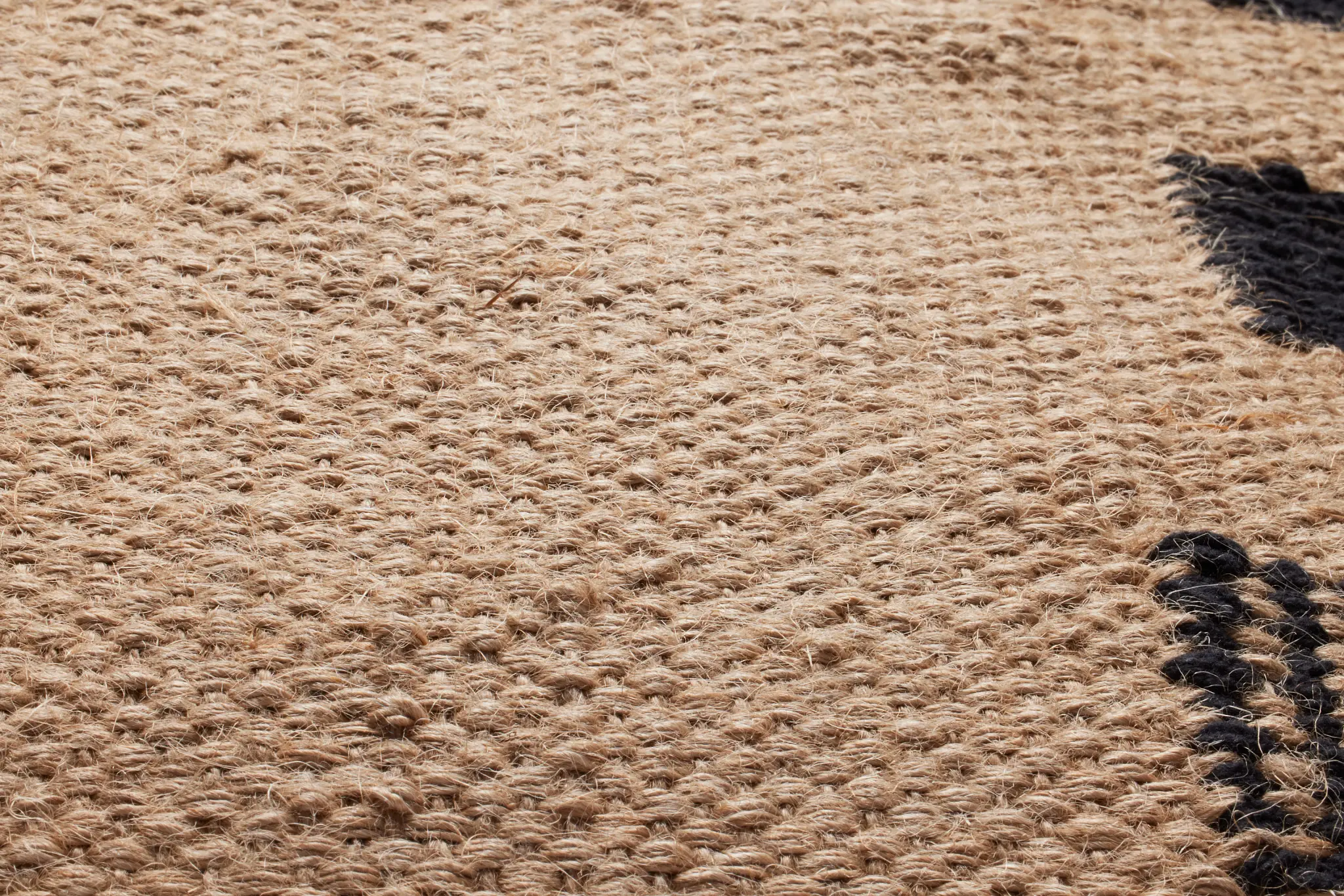 BEIGE Fynn Beige 20" Accent Pillow