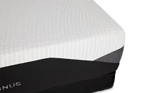 Zinus Endura 1.0 12" Firm Memory Foam Mattress