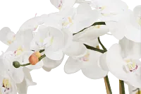 Orchid White 35" Floral Arrangement