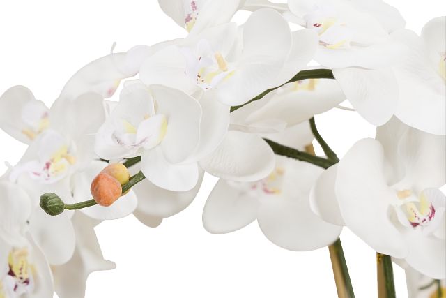 Orchid White 35" Floral Arrangement