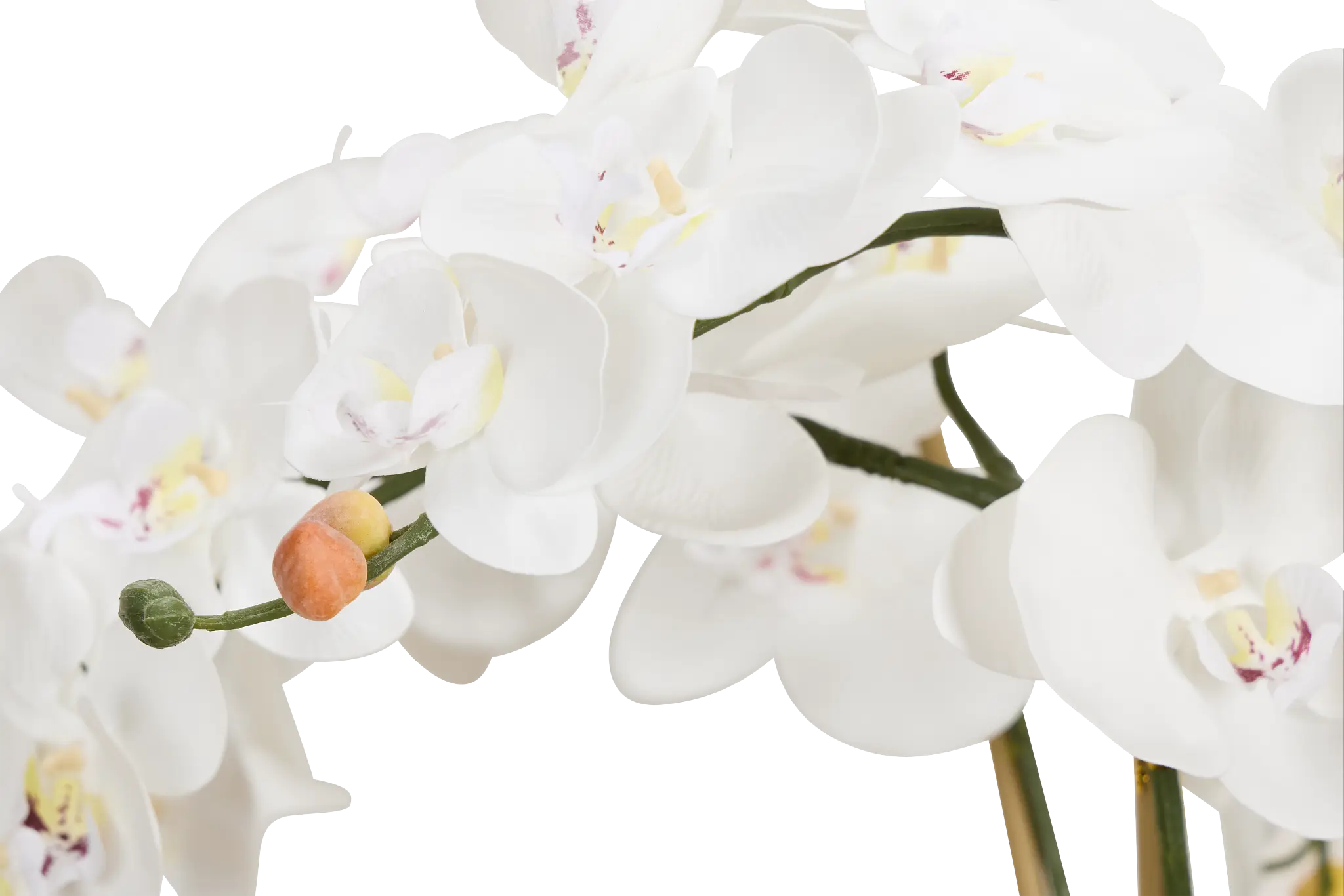 Orchid White 35" Floral Arrangement Orchid White 35" Floral Arrangement