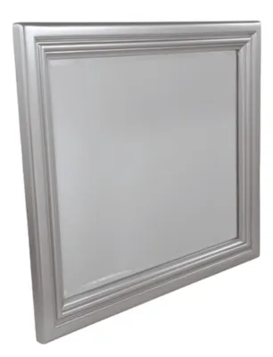 Coralayne Silver Mirror