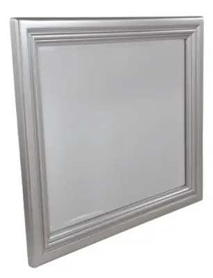 Coralayne Silver Mirror Coralayne Silver Mirror