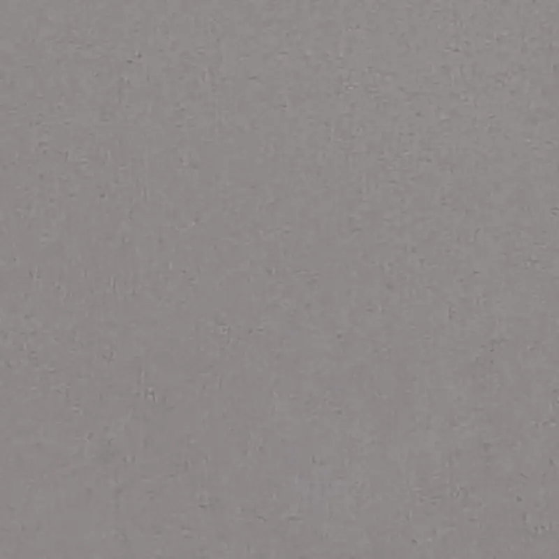 Light Gray Light Gray