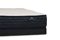 Serta Perfect Sleeper Adorning Night Firm Low-profile Mattress Set