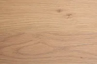 Carolina Light Tone Poster Bed