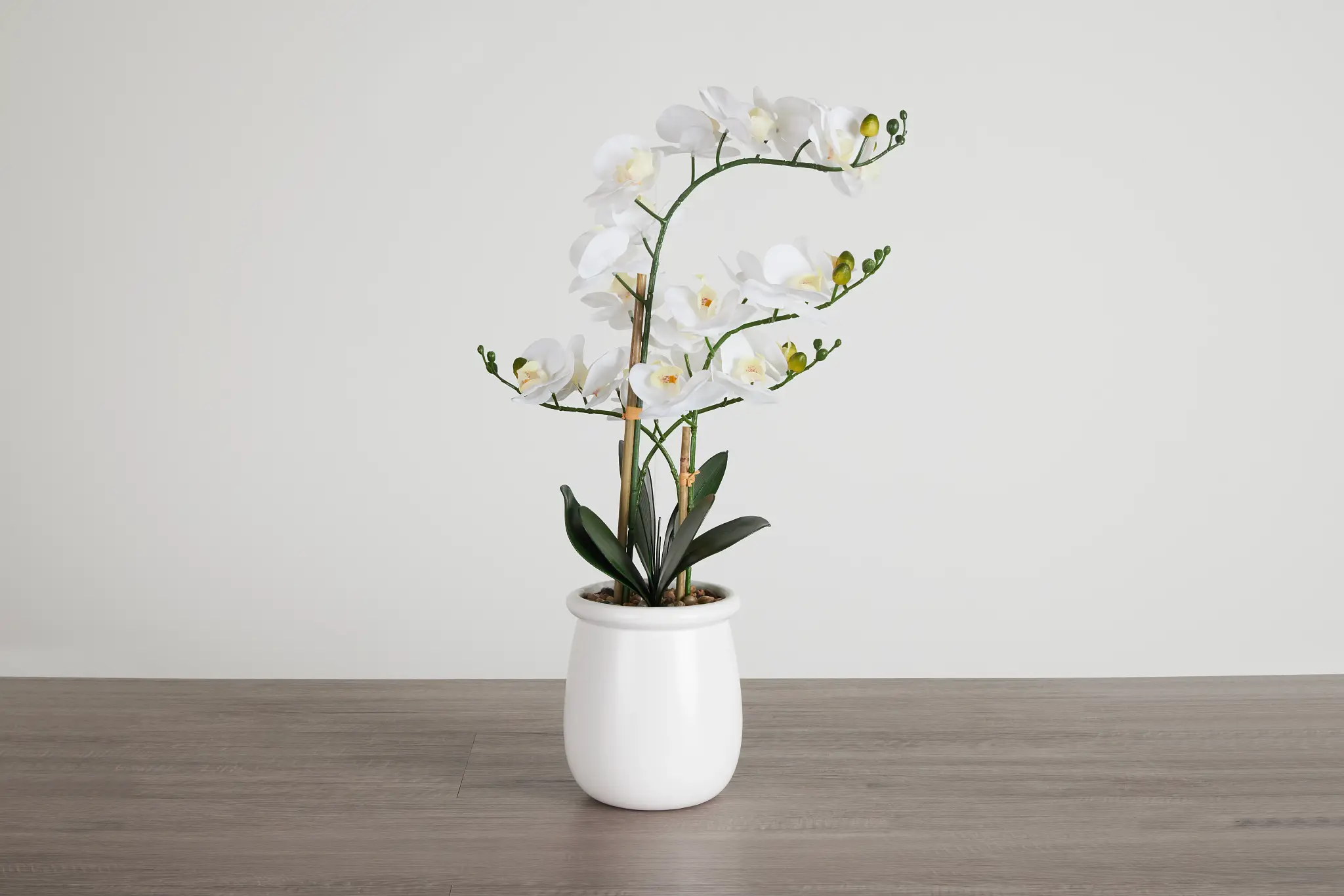 Potted Orchid 28" Floral Arrangement Potted Orchid 28" Floral Arrangement