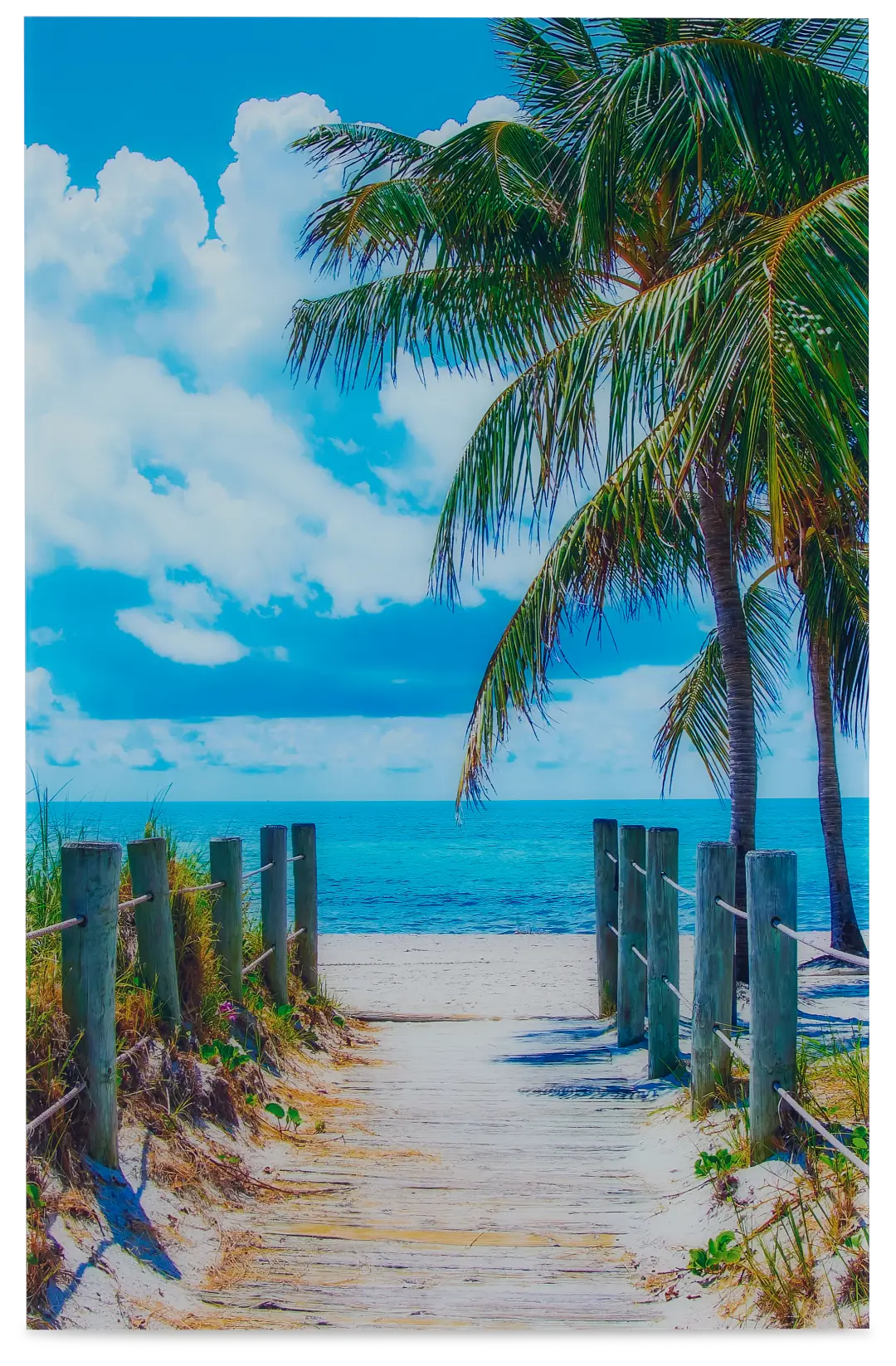 Beach Walk Acrylic Wall Art Beach Walk Acrylic Wall Art