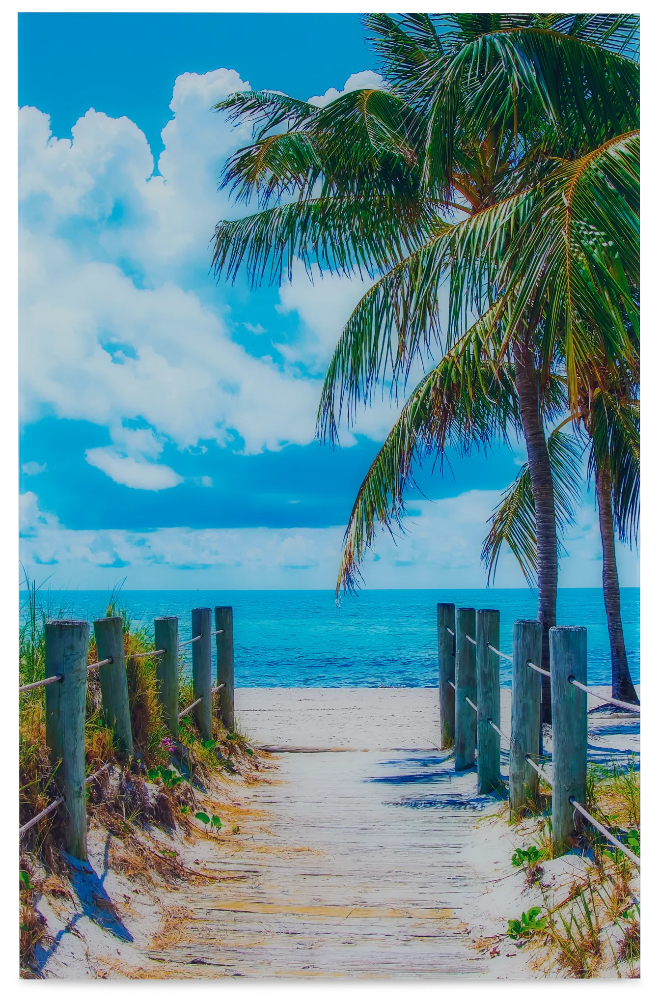 Beach Walk Acrylic Wall Art