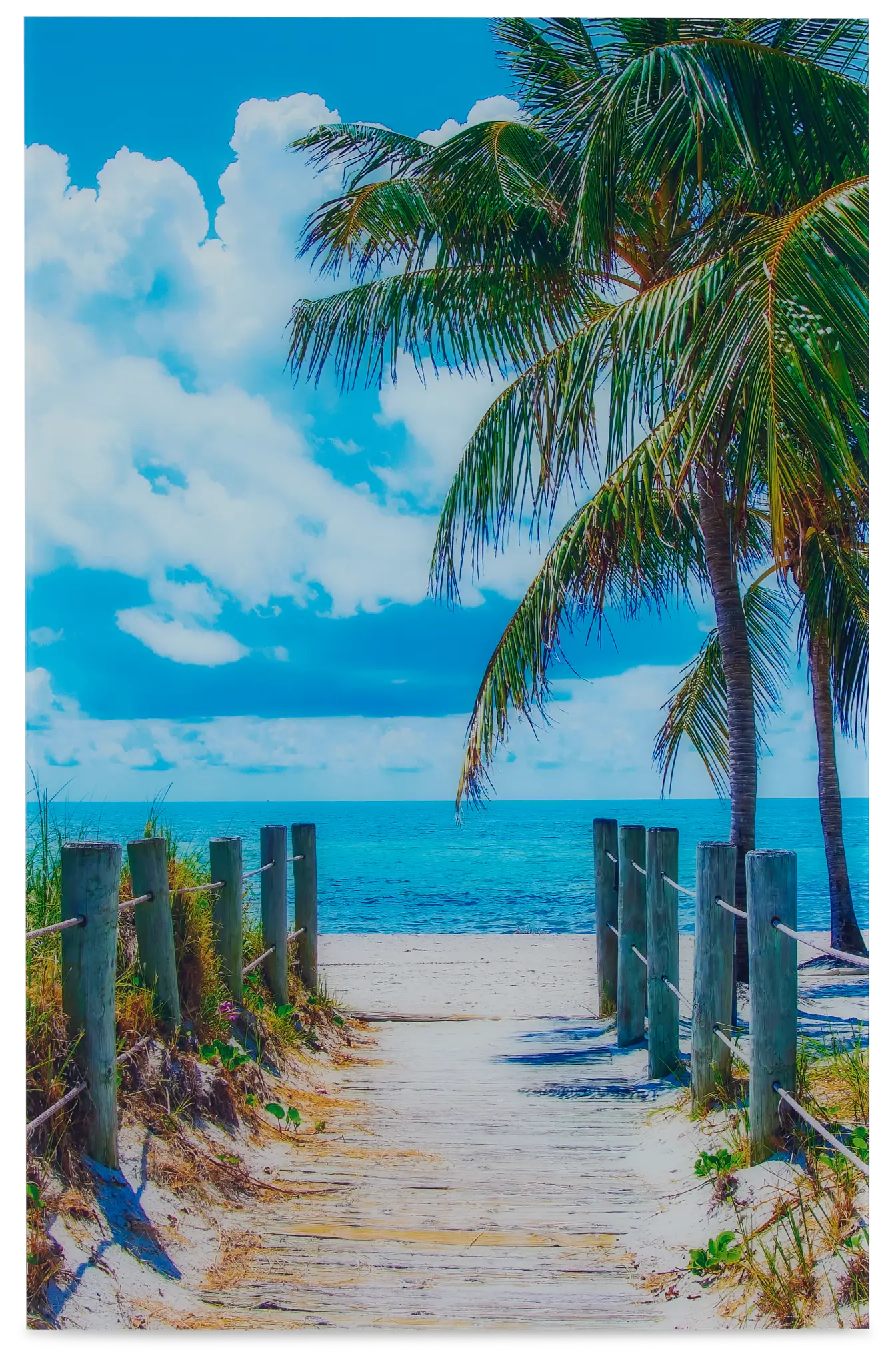 Beach Walk Acrylic Wall Art Beach Walk Acrylic Wall Art