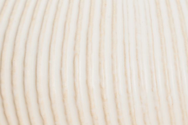 Elula Ivory Medium Vase
