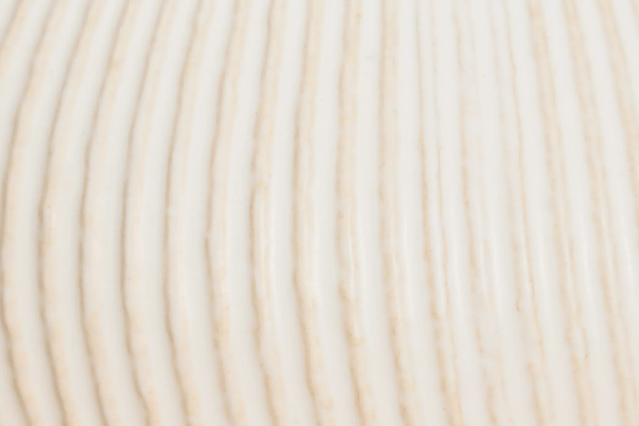 Elula Ivory Medium Vase