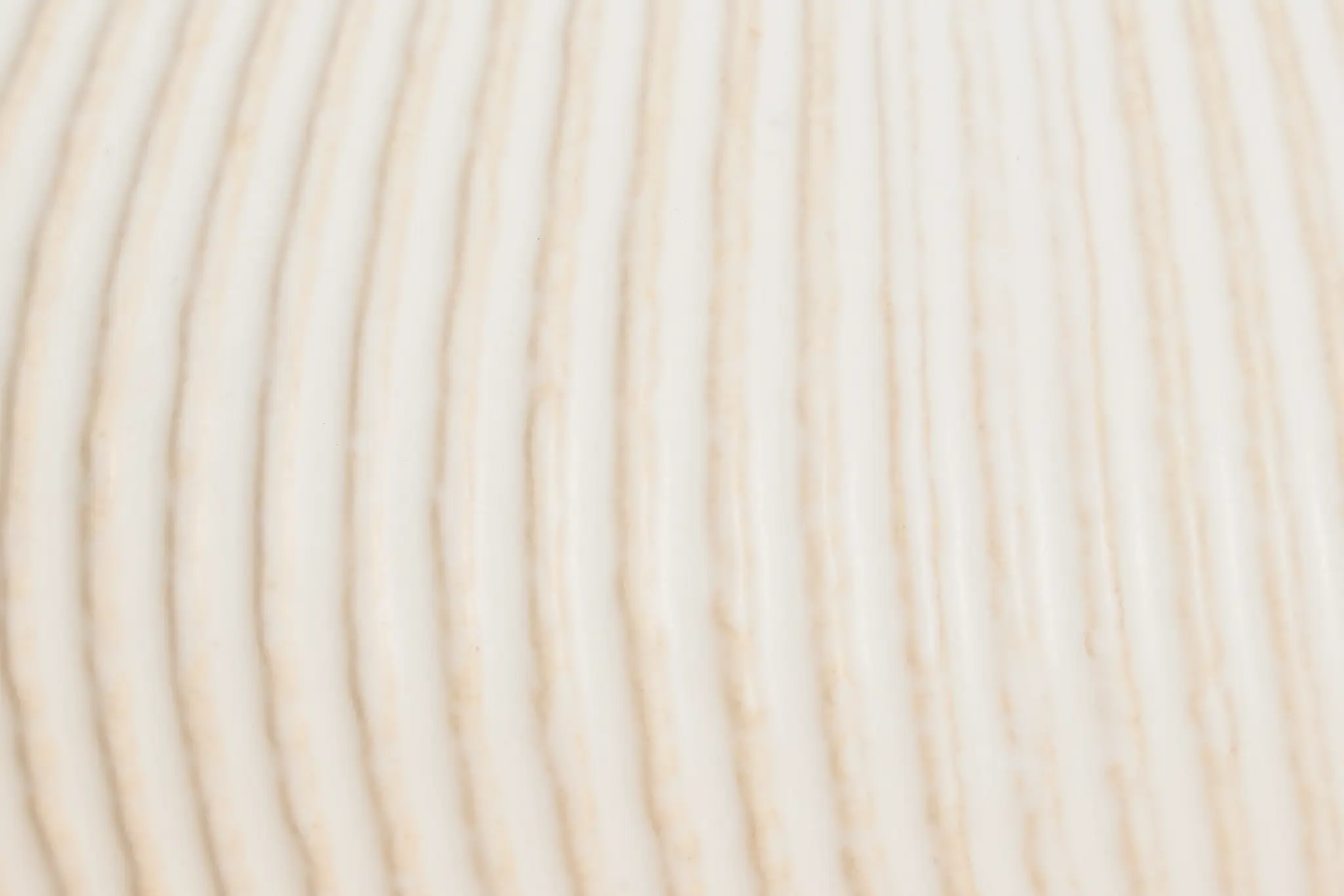 Elula Ivory Medium Vase Elula Ivory Medium Vase