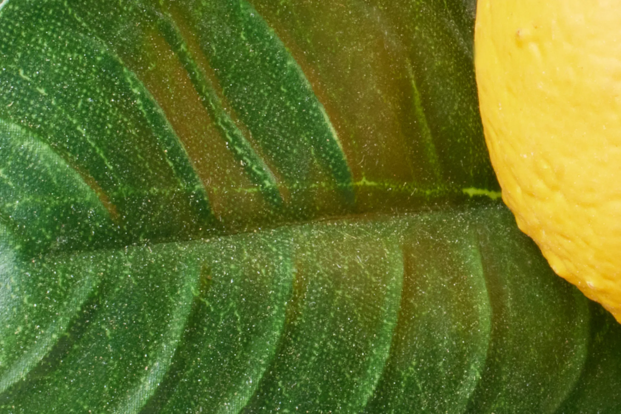 Lemon Green 23" Tree