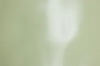 Sagaria Light Green Medium Vase