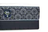 Perfect Sleeper Bay City Extra Firm Mattress Set
